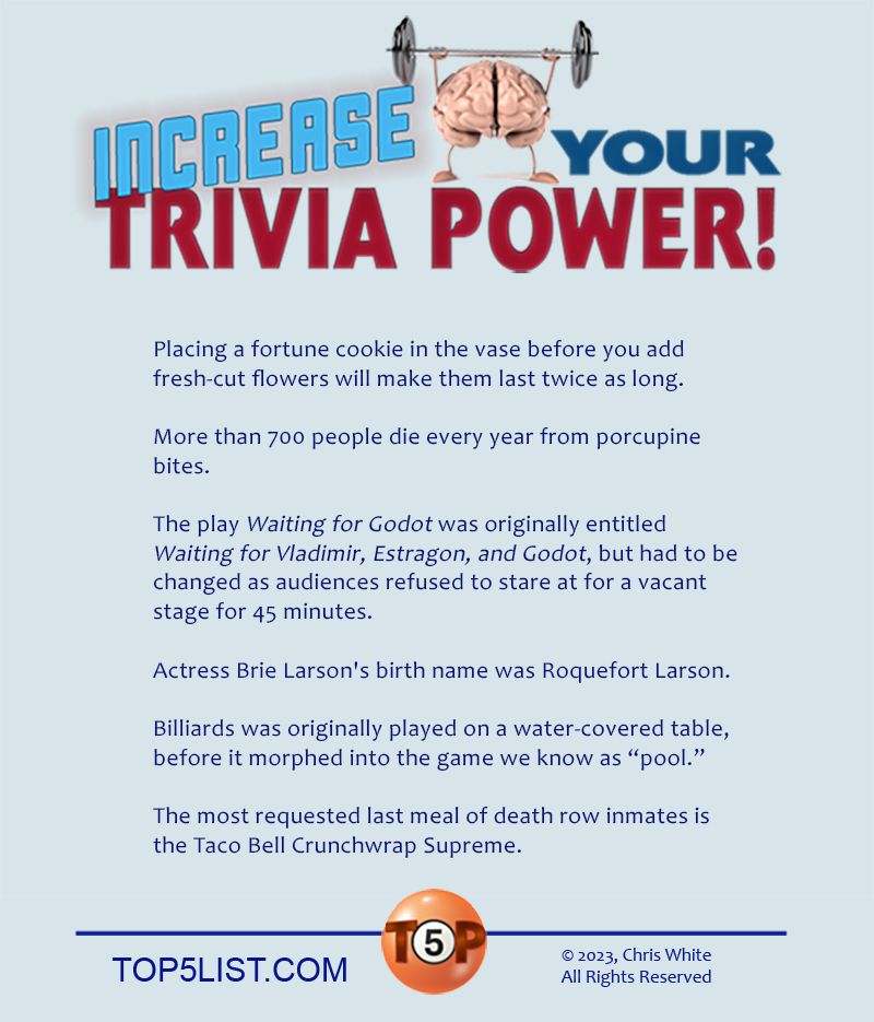 INCREASE YOUR TRIVIA POWER!  Placing a fortune cookie in the vase before you add fresh-cut flowers will make them last twice as long.  More than 700 people die every year from porcupine bites.  The play "Waiting for Godot" was originally entitled "Waiting for Vladimir, Estragon, and Godot." It had to be changed as audiences refused to stare at for a vacant stage for 45 minutes.  Actress Brie Larson's birth name was Roquefort Larson.  The most requested last meal of death row inmates is the Taco Bell Crunchwrap Supreme.  Billiards was originally played on a water-covered table, before it morphed into the game we now know as "pool."