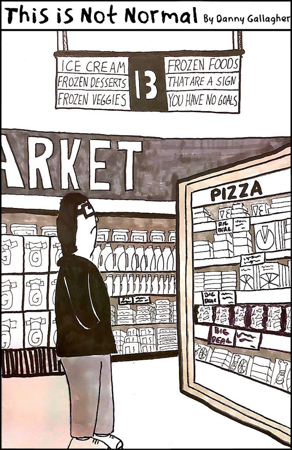 This Is Not Normal, a cartoon by Danny Gallagher  |  In this single-panel cartoon, Danny stands in the frozen food aisle of the supermarket, staring up at a sign which reads "Aisle 13." Below that on the left the sign says, "Ice cream, frozen desserts, frozen veggies." On the right side, it says, "Frozen foods that are a sign you have no goals."